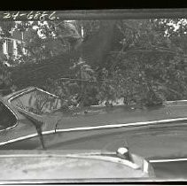 Negative, Safety, unknown