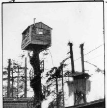 Eureka treehouses