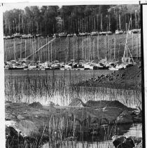 Low Lake Levels Impact Marina