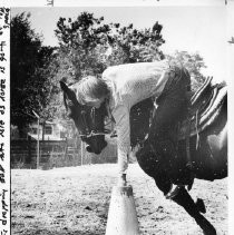 Richie Haley, on horseback, ball drop, competing in a gymkhana