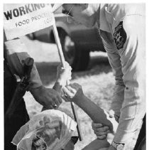 The Campbell Soup Company employees were on strike for better wages and working conditions. Caption reads: "The woman picket is forcibly taken to a squad car after, officers said, she resisted arrest