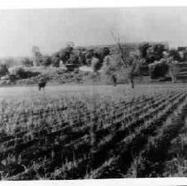 Photograph of plowed field with San Juan Bautista in background