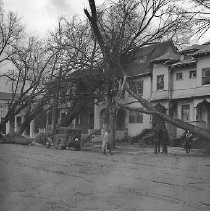 Wind storm damage in 1938