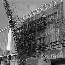 Negative, Safety, Unknown