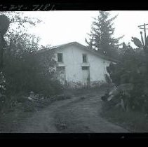 Negative, Safety, unknown