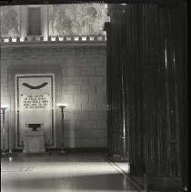 Negative, Safety, Unknown