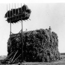 "Nearly Completed Haystack"