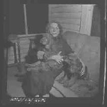 Negative, Safety, Unknown