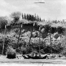 Sacramento Delta levee erosion