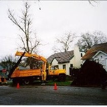 Windstorm