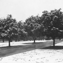 Snow in Capitol Park