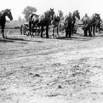 "Horses Harnessed to Mowing Machines"