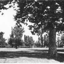 Views of the New Helvetia Cemetery