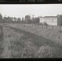 Negative, Safety, unknown