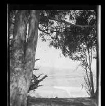 Santa Barbara Beach