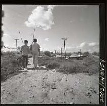 Negative, Safety, Unknown