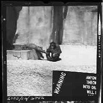 Negative, Safety, Unknown