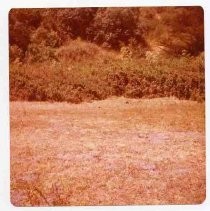 Photographs of landscape of Bolinas Bay