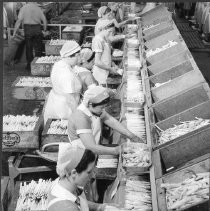 Women Packing Del Monte Products