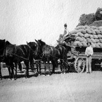 Harold Dewey with Harvest