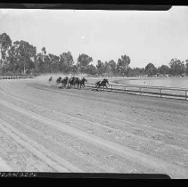 Negative, Safety, Unknown