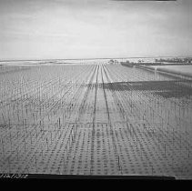 Negative, Safety, Unknown