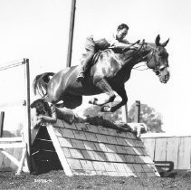 Horse Jumping