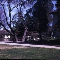 California Indian Museum