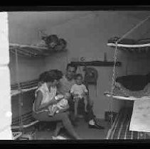 Negative, Safety, Unknown