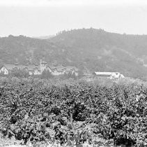 Christian Brothers Winery