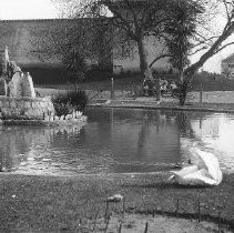 Lake at Sutter's Fort