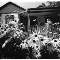 Caption reads: "Neat well-trimmed homes such as this one grace Mokelumne Hill's 'downtown' area."