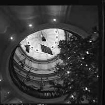 Negative, Safety, Unknown