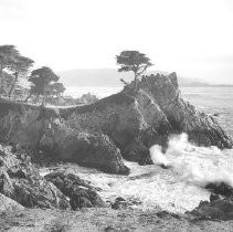 Cypress Point near Monterey