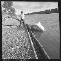 Negative, Safety, Unknown