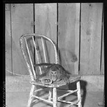 Negative, Safety, Unknown