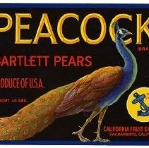 Peacock Brand