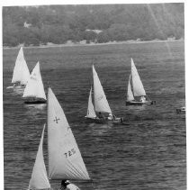 Sailing on Folsom Lake