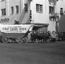 An ox drawn wagon with advertising painted on the side