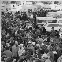 The Crowd Waiting to Enter the Pig Bowl