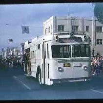 Armistice Day parade