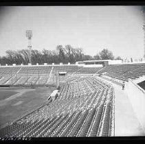 Negative, Safety, Unknown