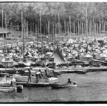 Sailboat Masts at Brown's Ravine, Folsom Lake