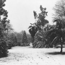 Snow in Capitol Park