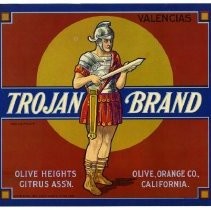 Trojan Brand