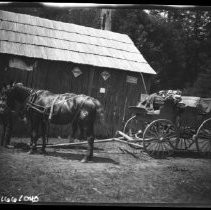 Negative, Nitrate