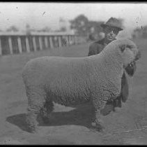 Negative, Glass Plate