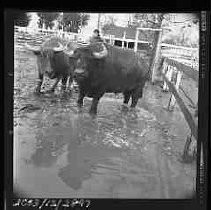 Negative, Safety, Unknown