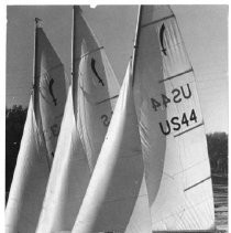 Sailboat Racing Winner