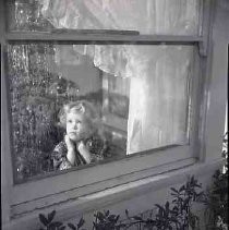 Negative, Safety, Unknown